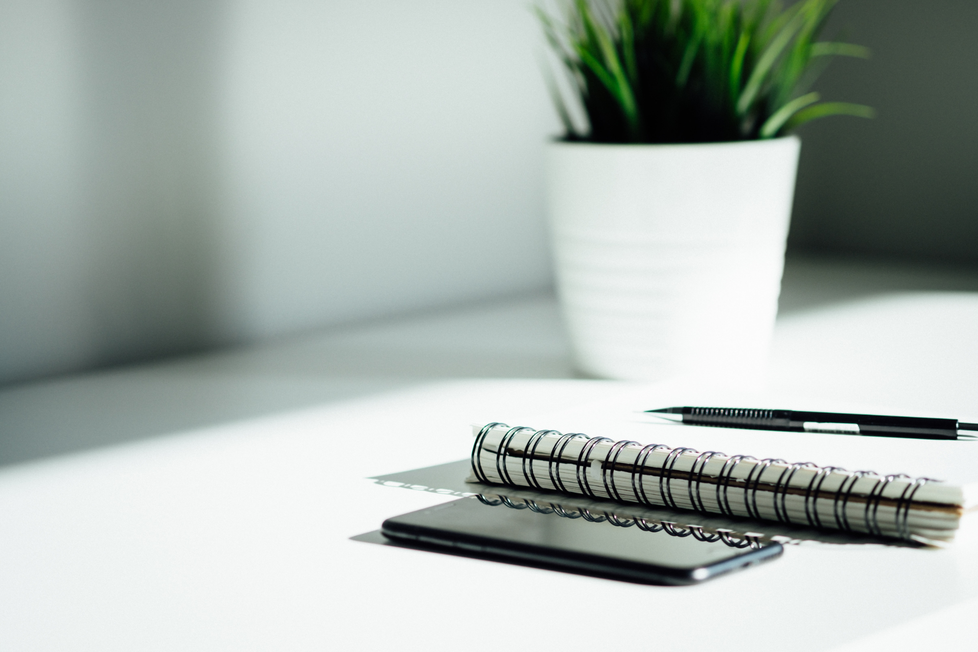 Phone pen binder